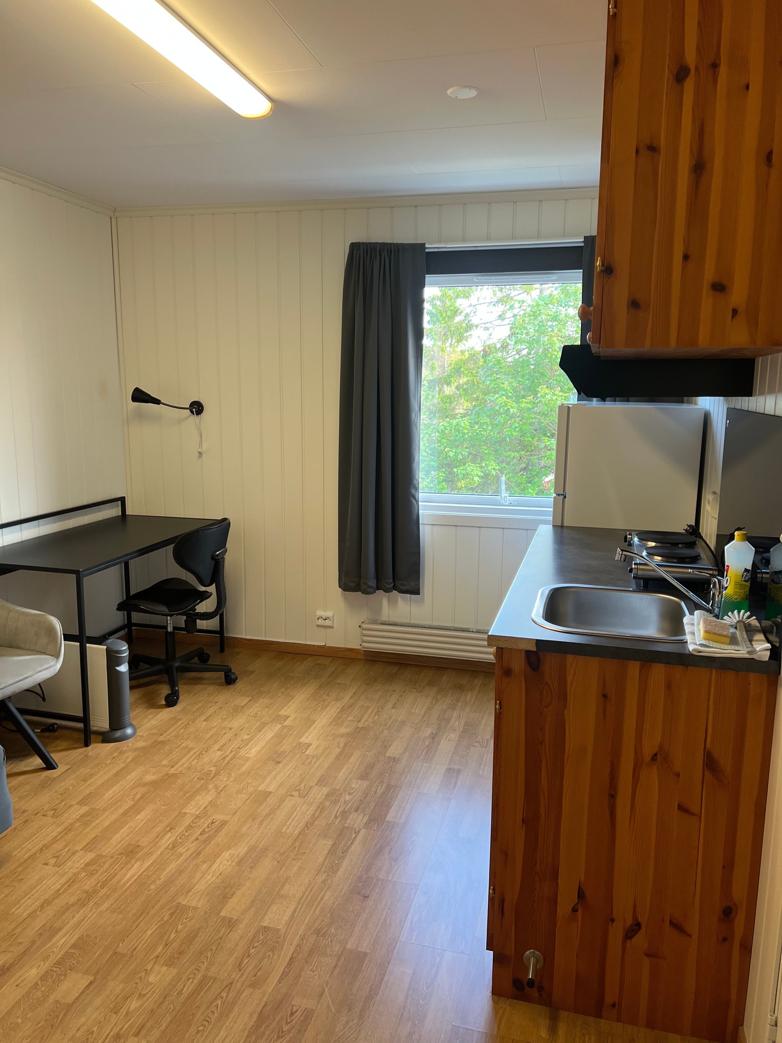 Rom 203 Galleribilde