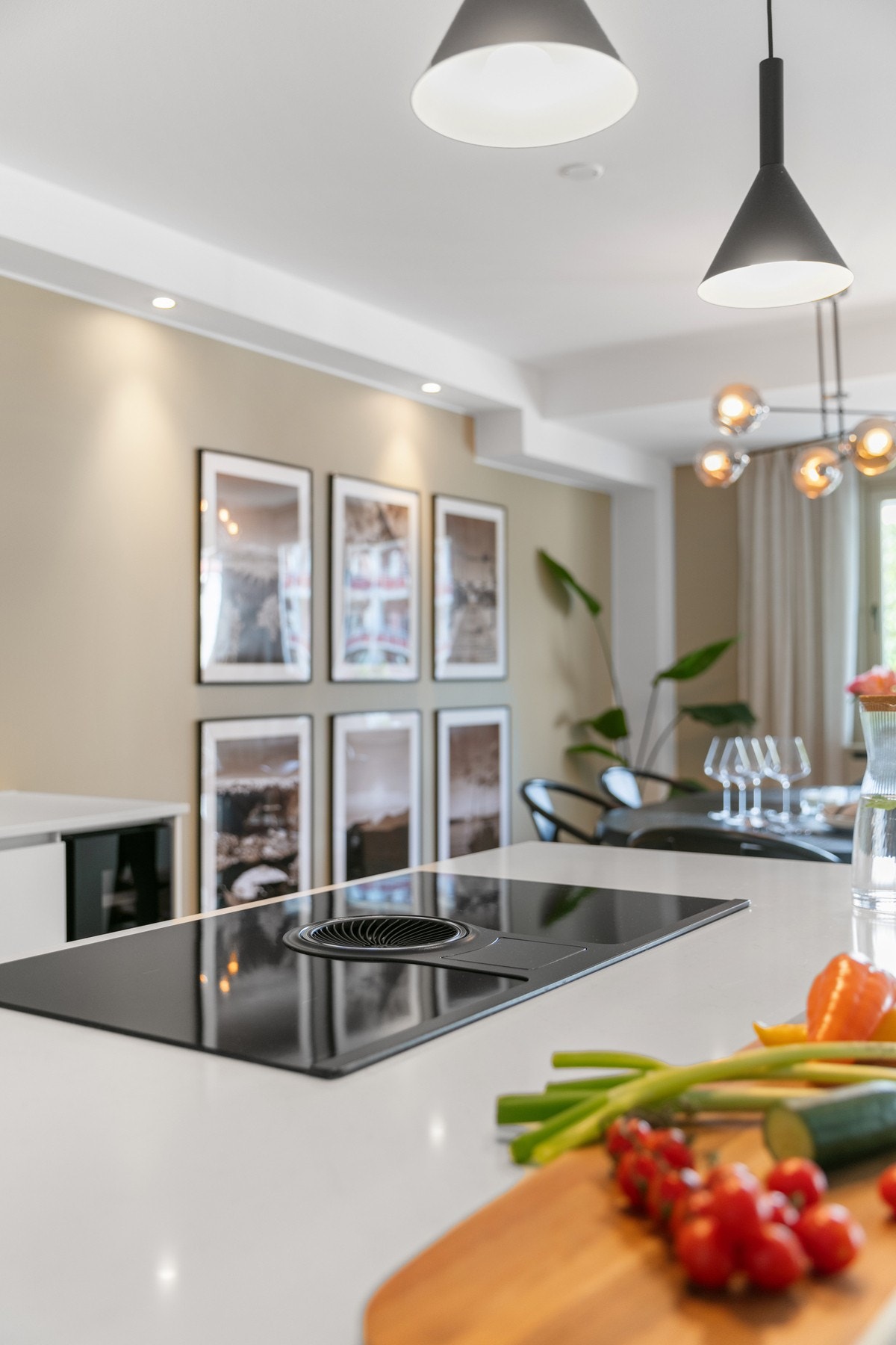 Platetopp med nedfelt kullfiltervifte Galleribilde