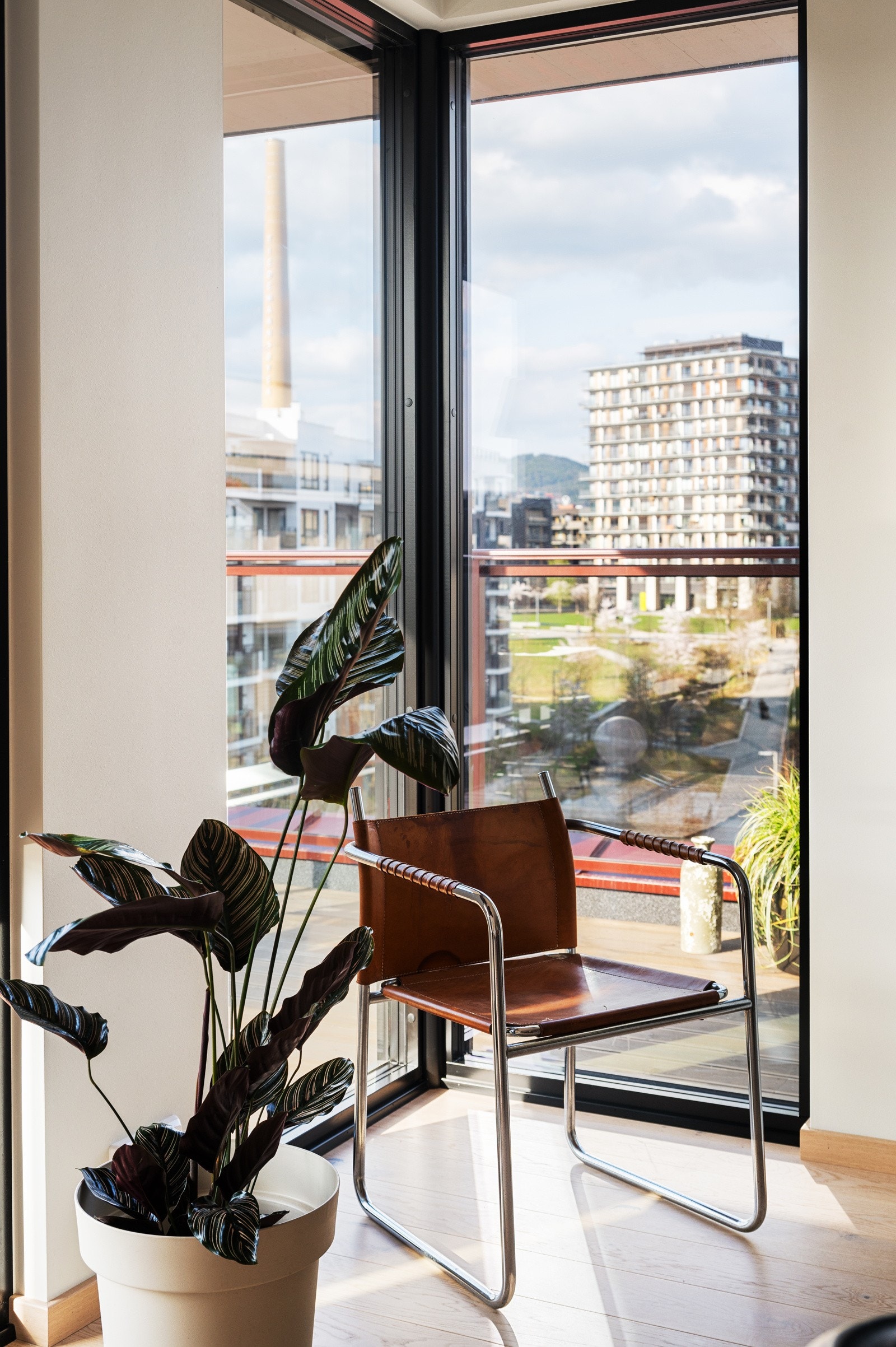 Store vindusflater fra to himmelretninger slipper lyset inn og skaper en helt spesiell atmosfære - fra solfylte morgener til gyldne solnedganger Galleribilde