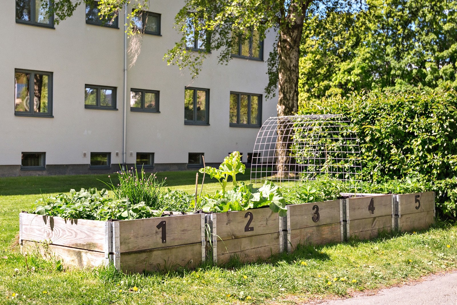Som beboer har man tilgang til plantekasser, fellesvaskeri, barnevogngarasjer, sykkelrom og utvendige sykkelstativer. Galleribilde