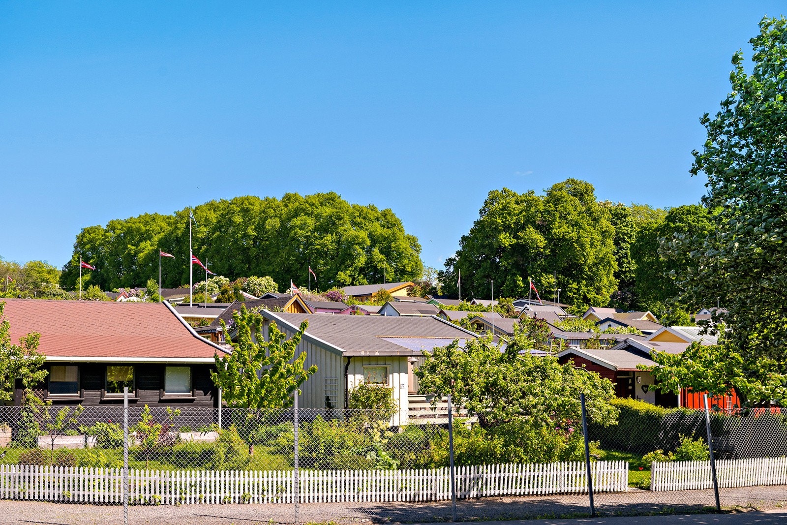 Stor vindusflate med utsikt over idylliske Hjemmets kolonihager. Galleribilde