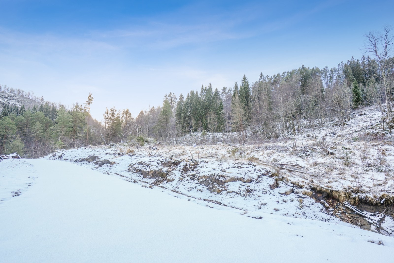 Det er ingen byggeklausul og kjøper kan fritt velge husleverandør og igangsettingstid. Galleribilde