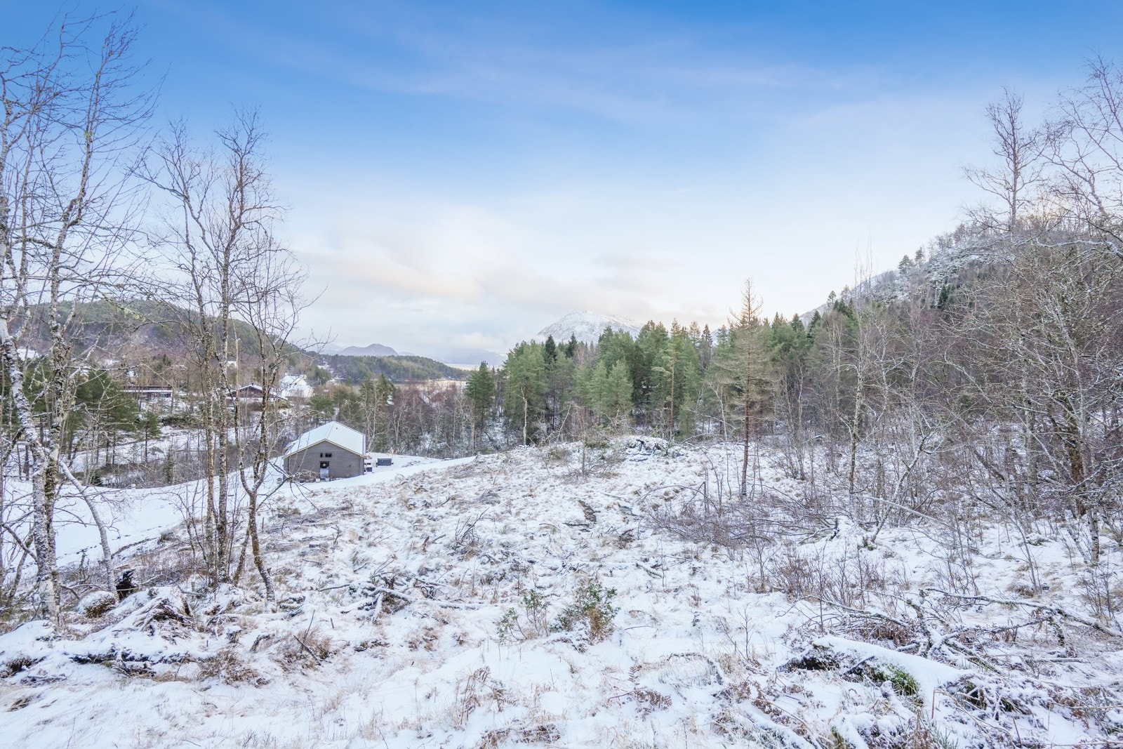 For dagligvarehandel er det ca. 4,4 km til Kiwi på Valle. Galleribilde
