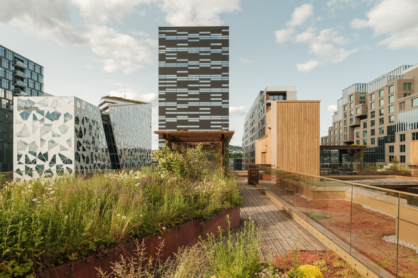 Takterrassen har flott beplantning, som gir et skjermet og grønt pusterom midt i byen Galleribilde