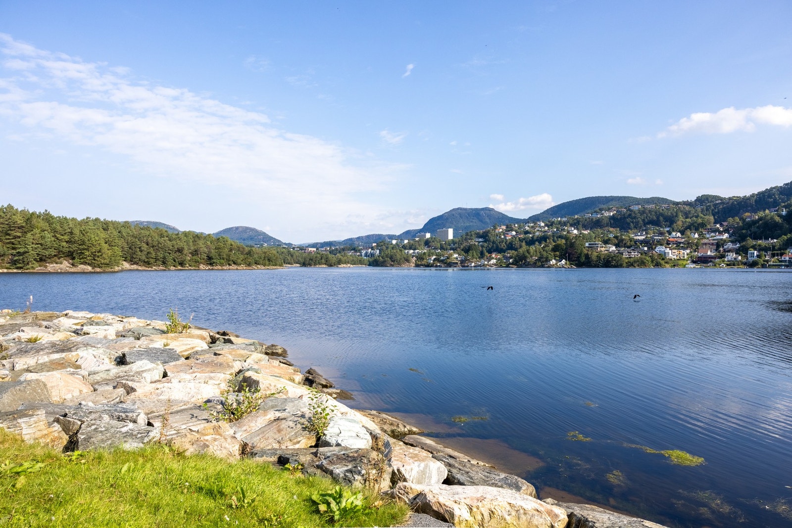 Nærområde. Galleribilde