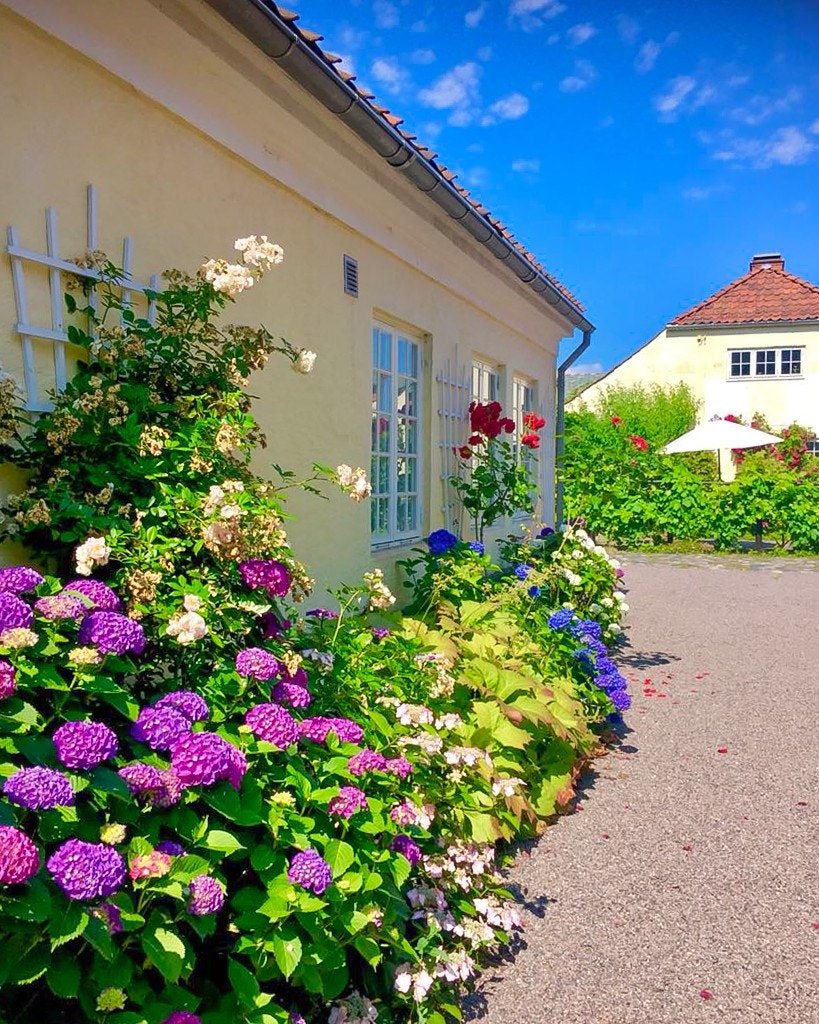 Et blikk ut av leilighetens kjøkkenvindu vil forklare deg hvorfor: bakgården er en nydelig oase beplantet med roser, kristtorn, japansk blodlønn, vindruer, Hortensia, forskjellige klatreplanter, jordbær, stikkelsbær og fersken! Galleribilde