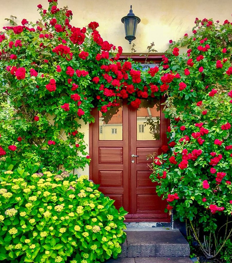 Øylivet her omfavner deg med en følelse av fred og ro, samtidig som du har alt du trenger innen rekkevidde. Start dagen med et forfriskende morgenbad ved en av de mange idylliske strendene, eller padle ut på fjorden. Galleribilde