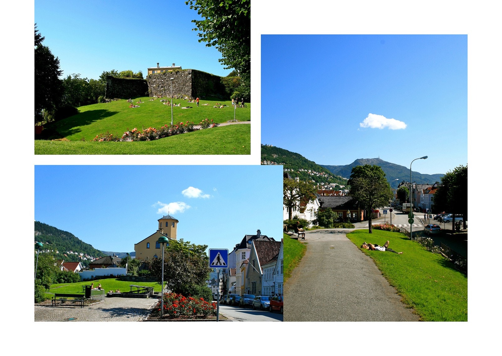 Nordnes - den grønne bydelen. Galleribilde