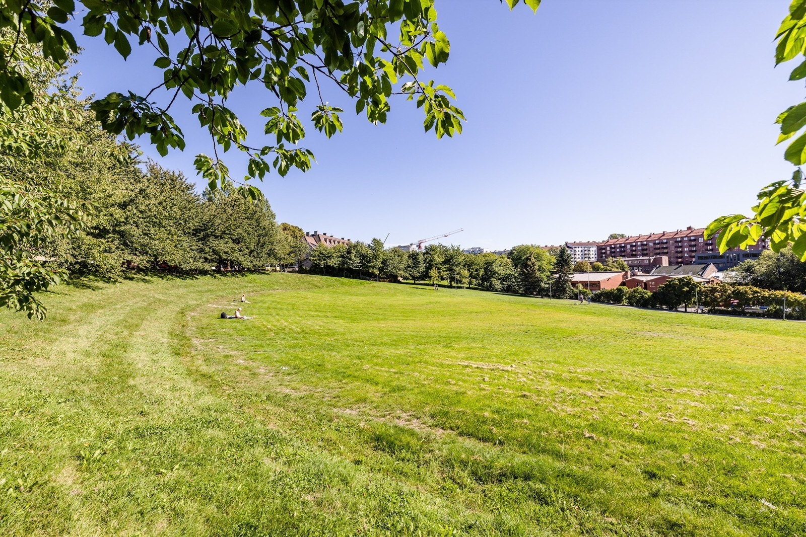 Myraløkka og Akerselva ligger en kort gåtur unna. Bilfritt og harmonisk. Galleribilde