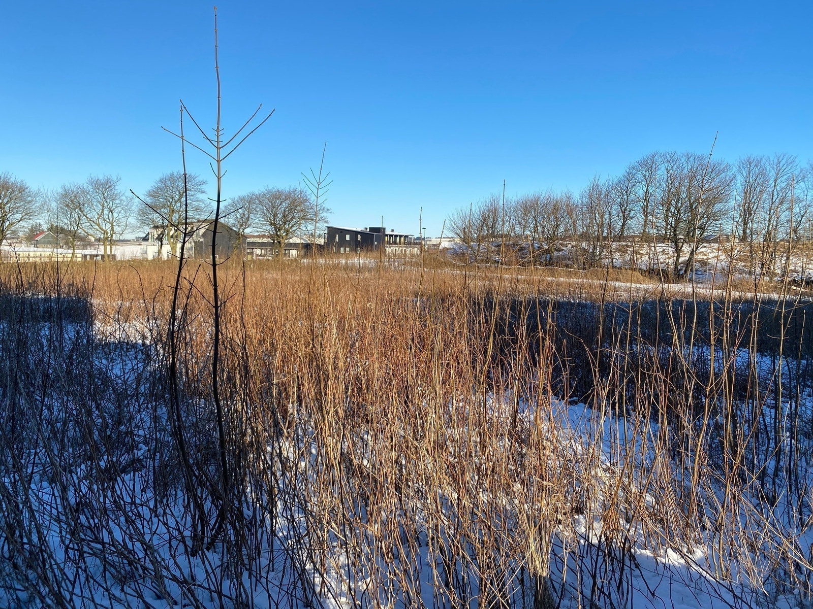 Ligger fint til i den "nye" delen i inngangen av Håland Industriområde. Galleribilde