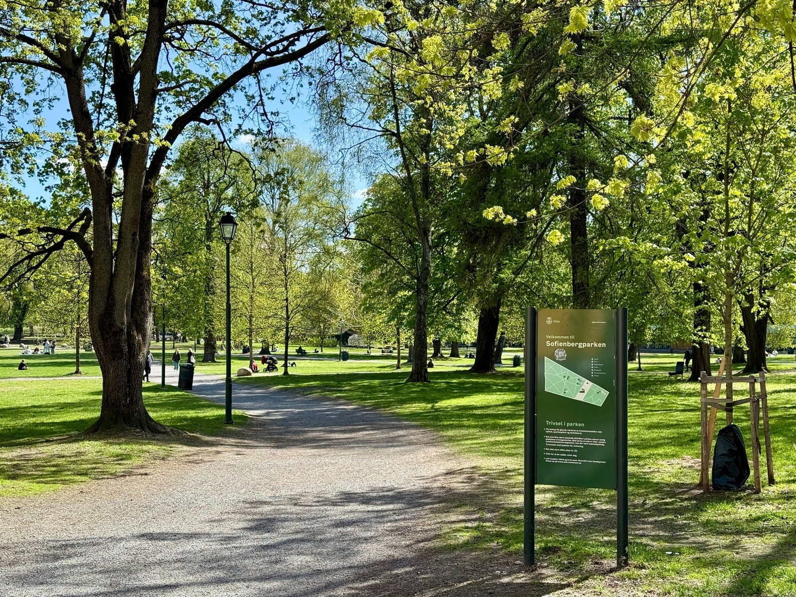 Kort vei til Sofienbergparken. Her arrangeres f.eks Piknikk i Parken på sommeren Galleribilde