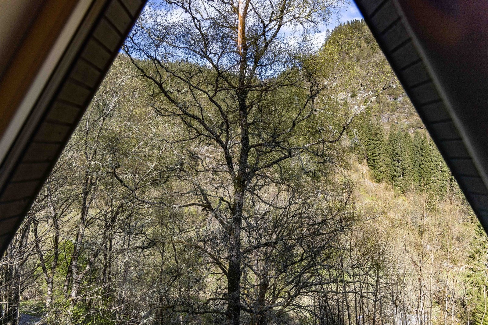 Fritidsboligen har en usjenert beliggenhet. Galleribilde