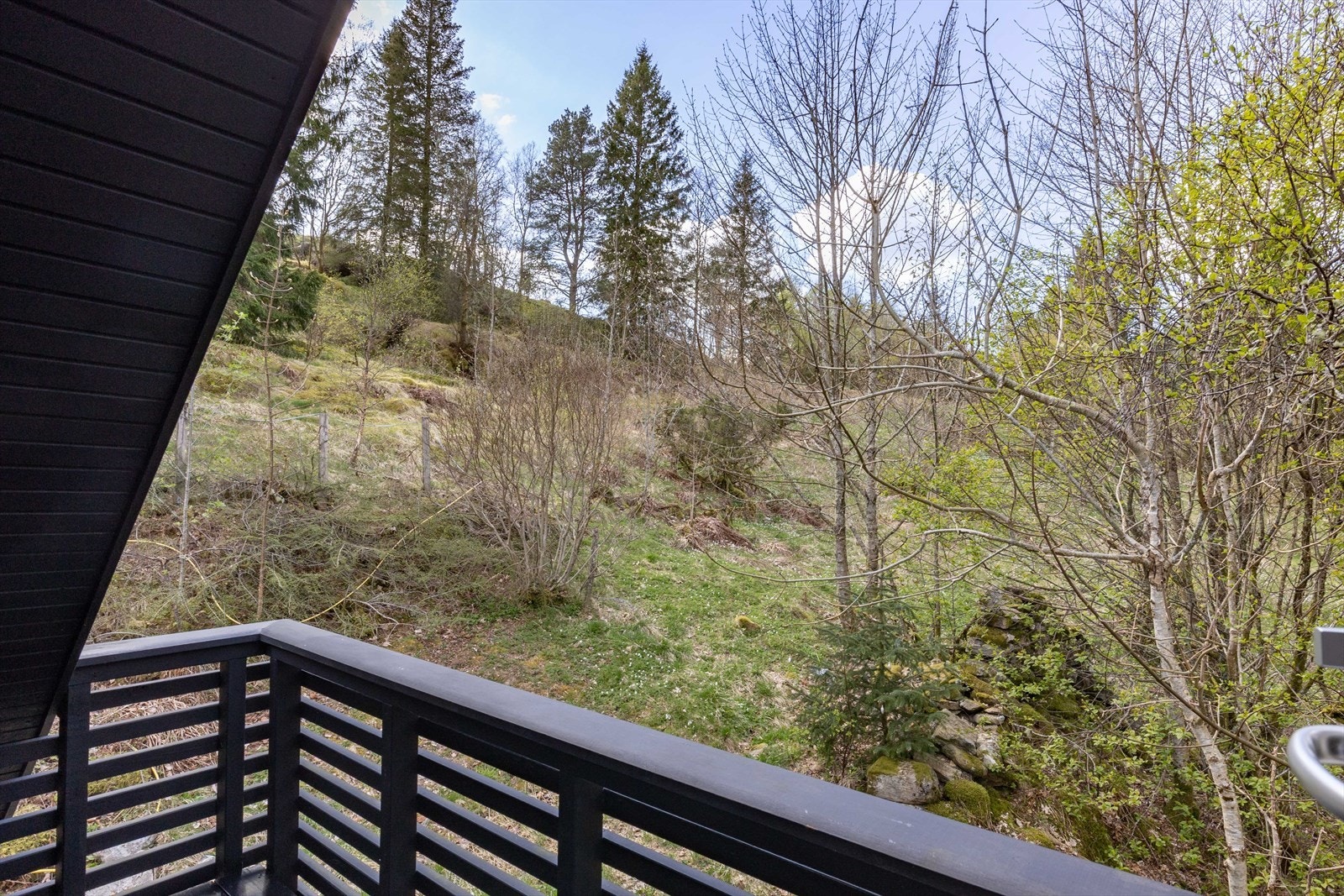 Nydelig utsikt utover naturen! Galleribilde