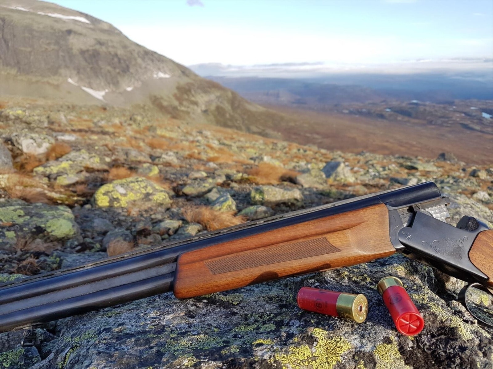 Hol kommune byr på variert jakt i storslått natur, fra fjellrypejakt i Hallingskarvet til storviltjakt på elg, hjort og rådyr. Galleribilde