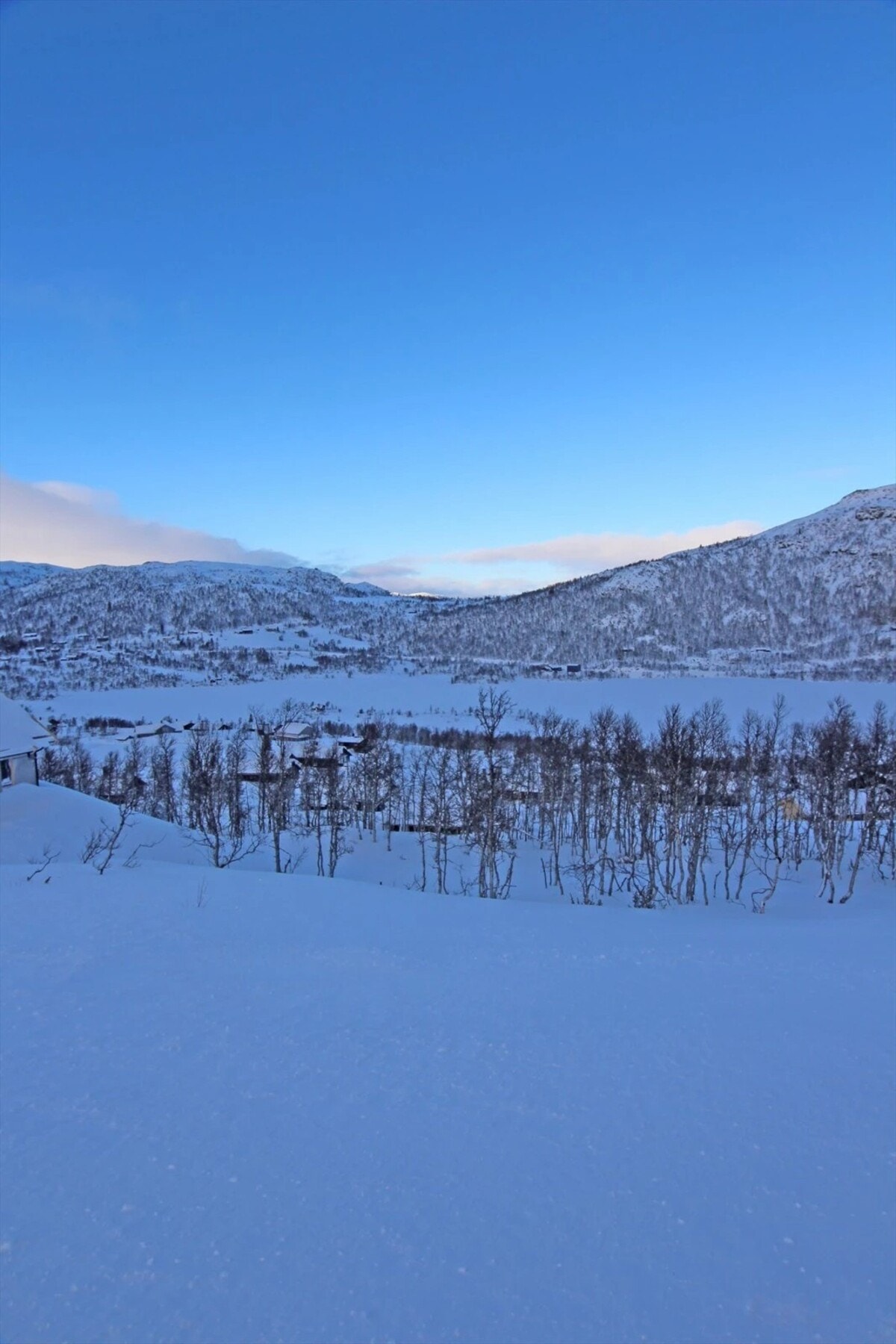Utsikten fra tomten mot Torvetjønn Galleribilde