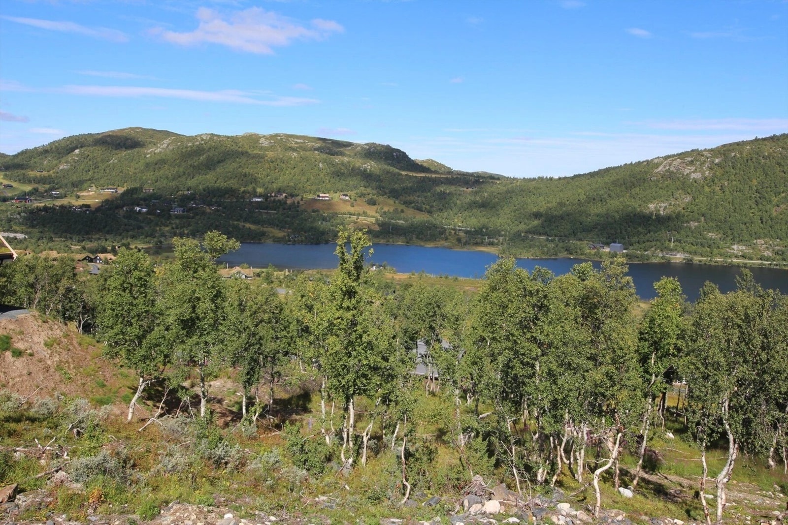 Her ses nedre del av tomten og utsikten mot bl.a. Torvetjønn Galleribilde