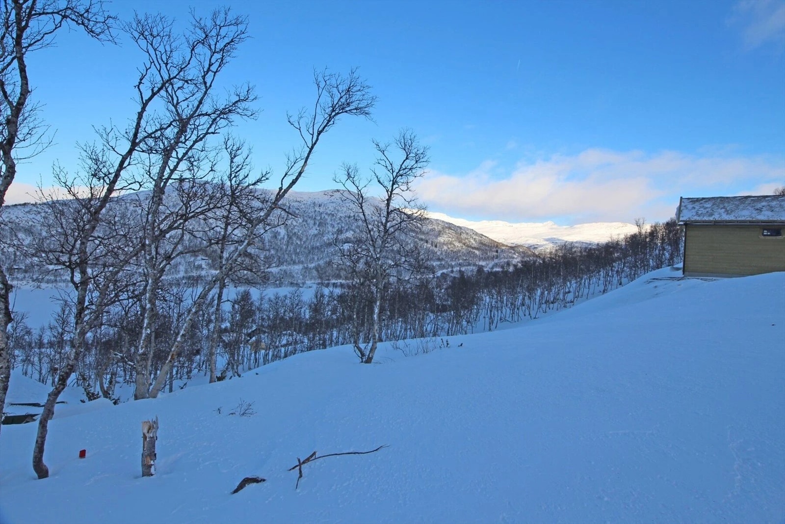 Utsikten mot fjellene i nordøst. Galleribilde