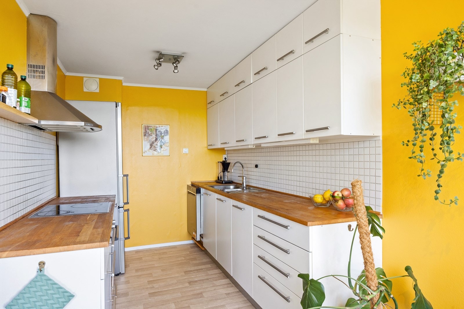 God skap- og benkeplass, samt integrert platetopp, stekeovn og oppvaskmaskin. Kokeplassen har kullfilterventilator. Galleribilde