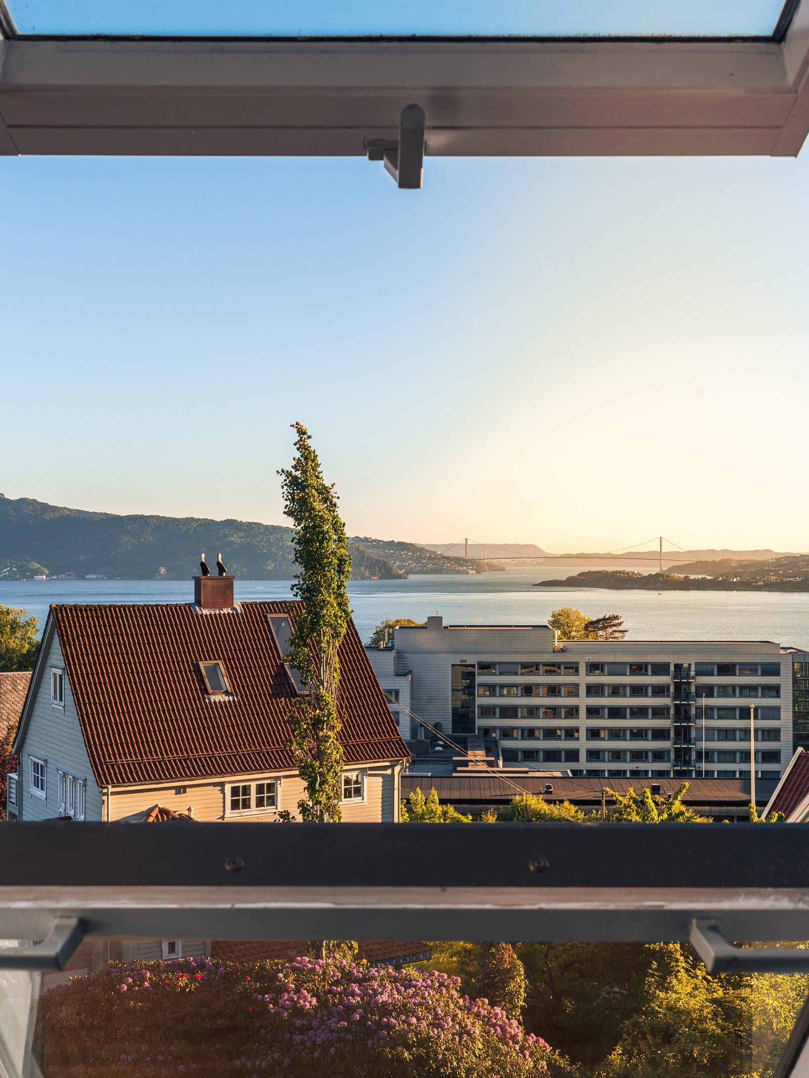 Sjekk den utsikten! Galleribilde