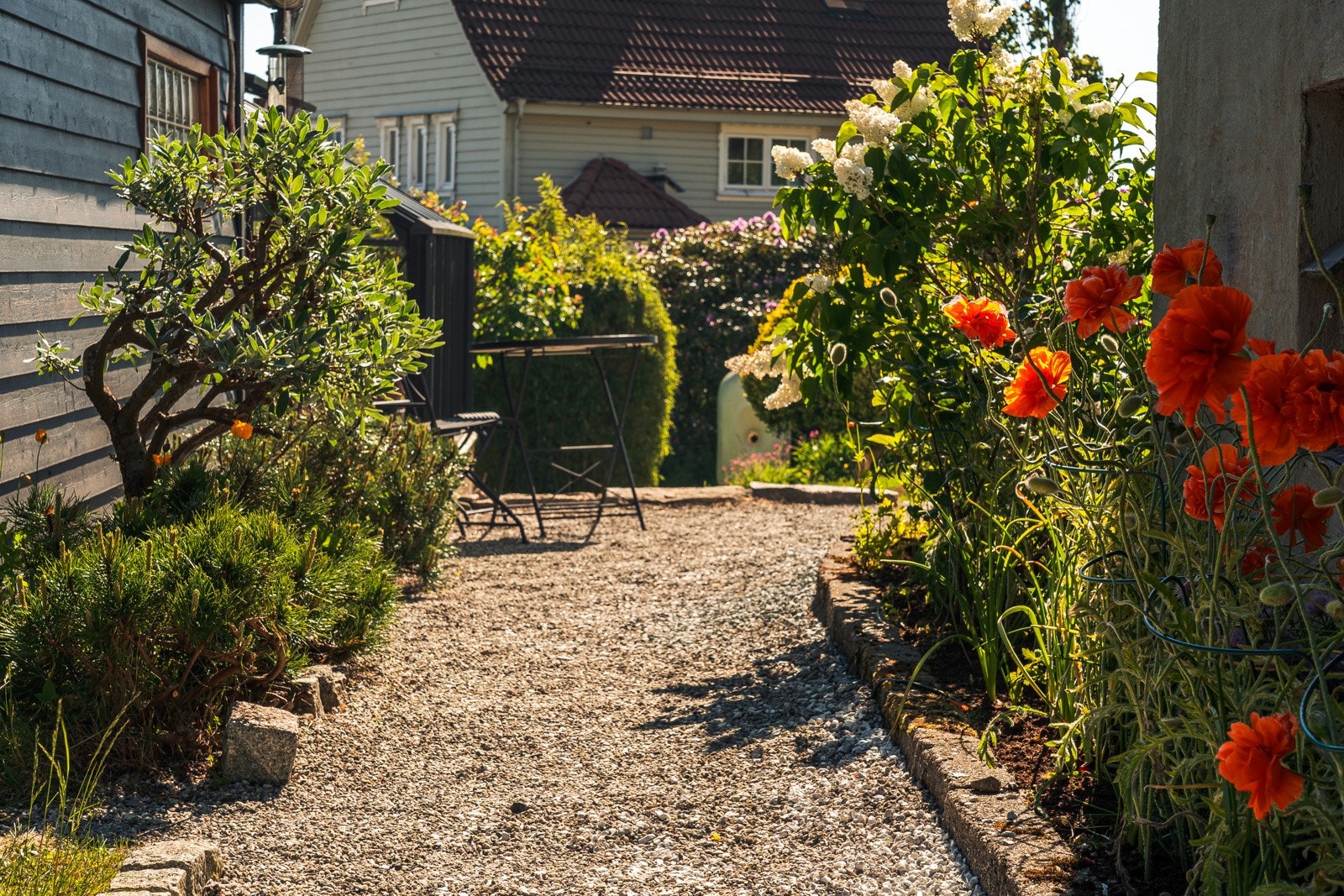 Pent opparbeidet tomt på ca. 651 kvm. Galleribilde