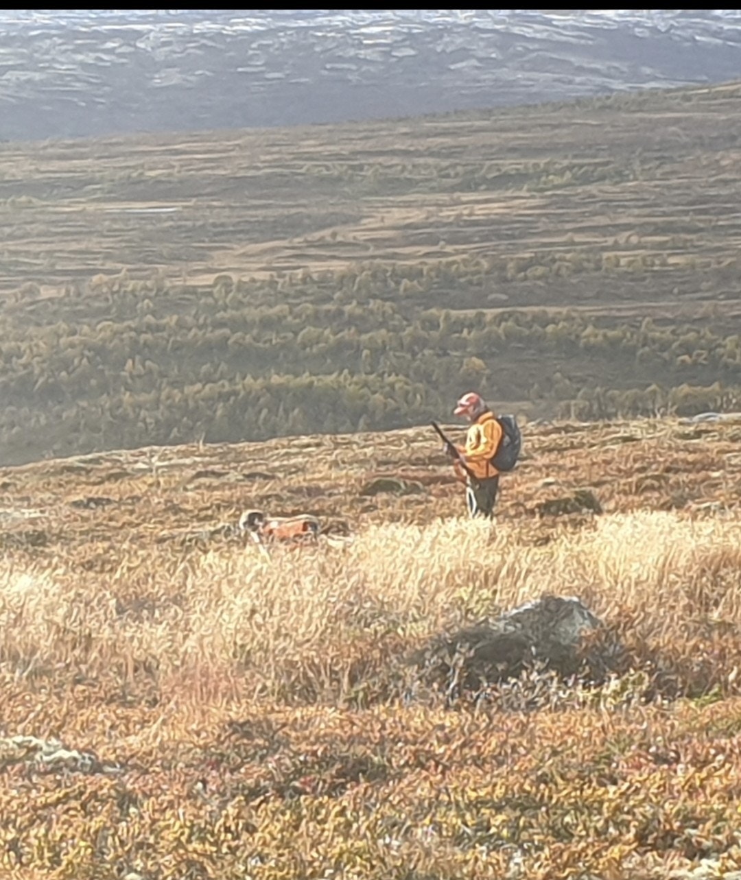 Vingelen kan friste med uante tur-, fiske- og jaktmuligheter for den friluftsinteresserte. Galleribilde