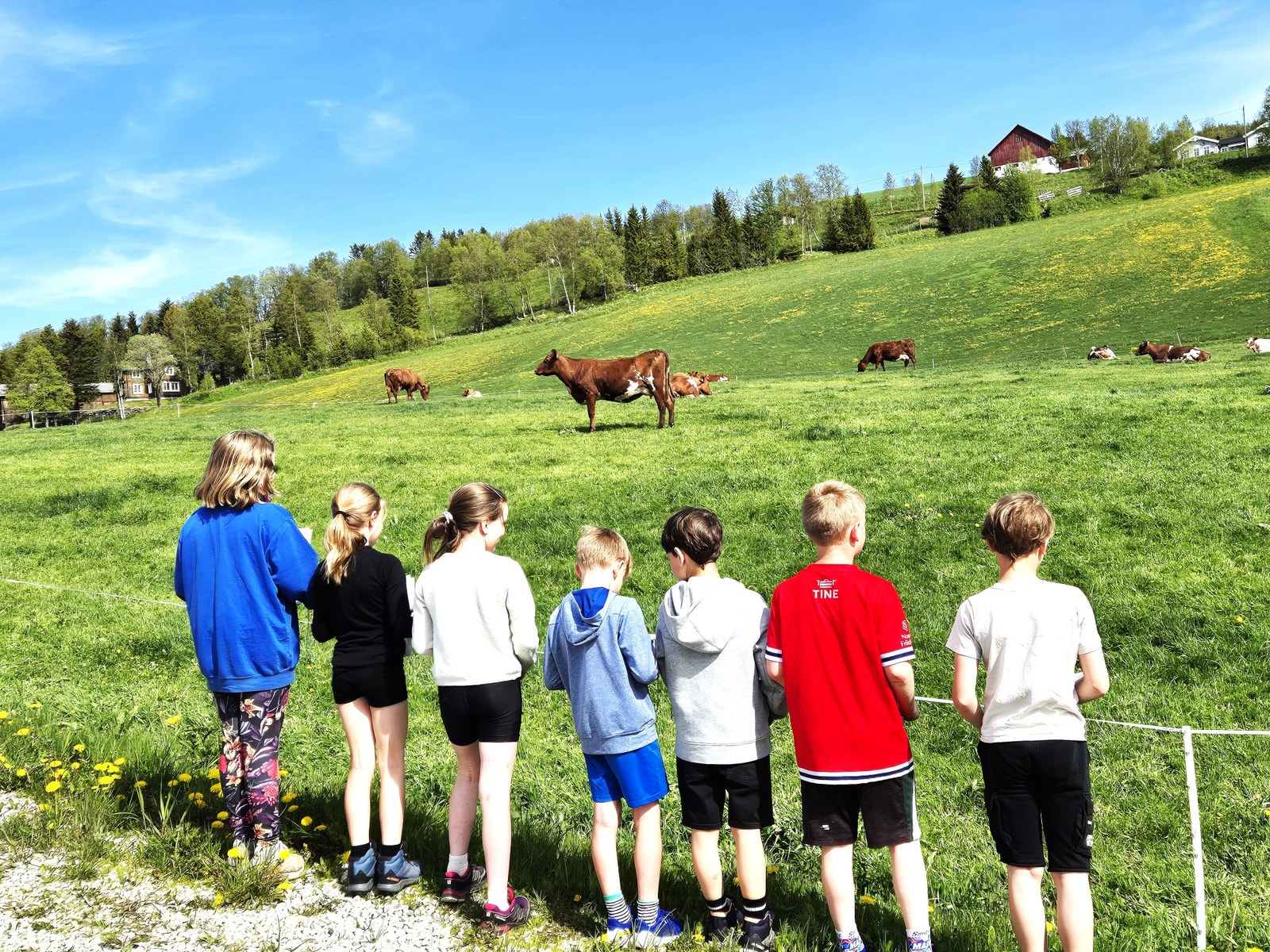 Det gror godt i bygda, med full barnehage og ca. 50 elever på skolen. Klasserommet er like godt utendørs i lokalmiljøet som innenfor skolens fire vegger. Galleribilde