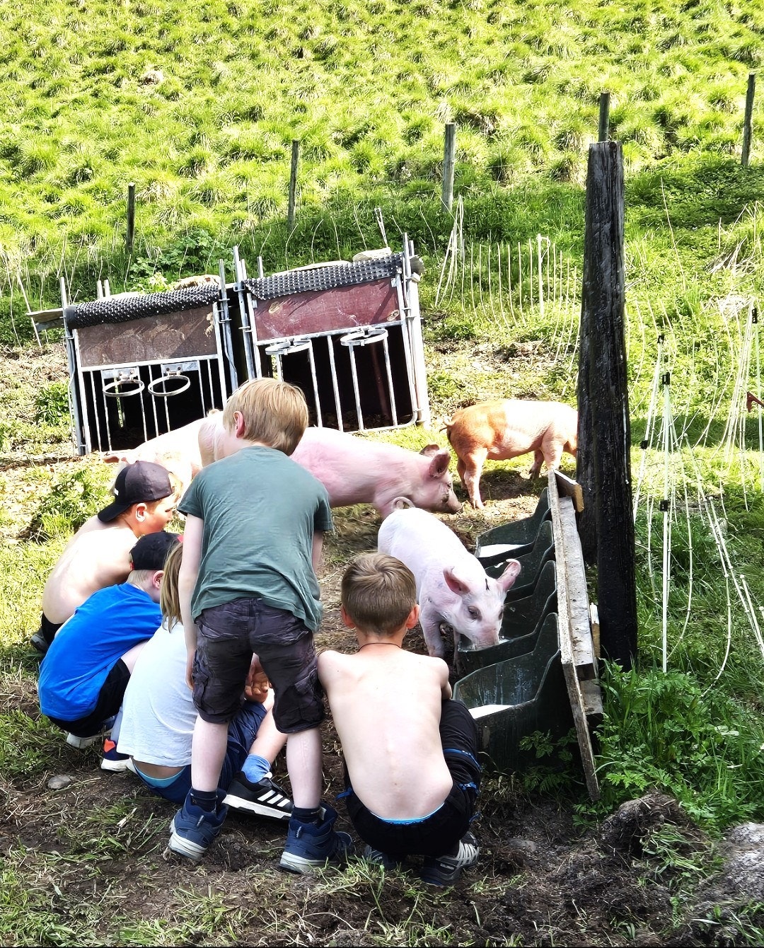 Det gror godt i bygda, med full barnehage og ca. 50 elever på skolen. Klasserommet er like godt utendørs i lokalmiljøet som innenfor skolens fire vegger. Galleribilde