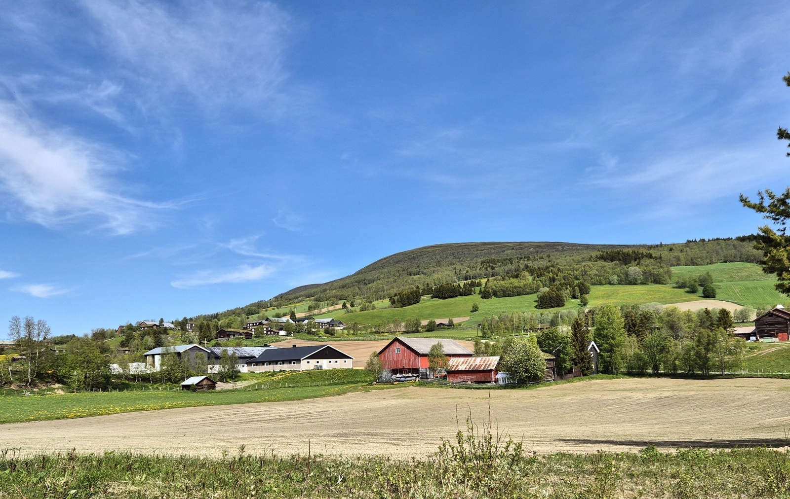 Vingelen er ei aktiv jordbruksbygd. Gamle tradisjoner og byggeskikker bevares, og møter det mer moderne behovet og uttrykket. Galleribilde