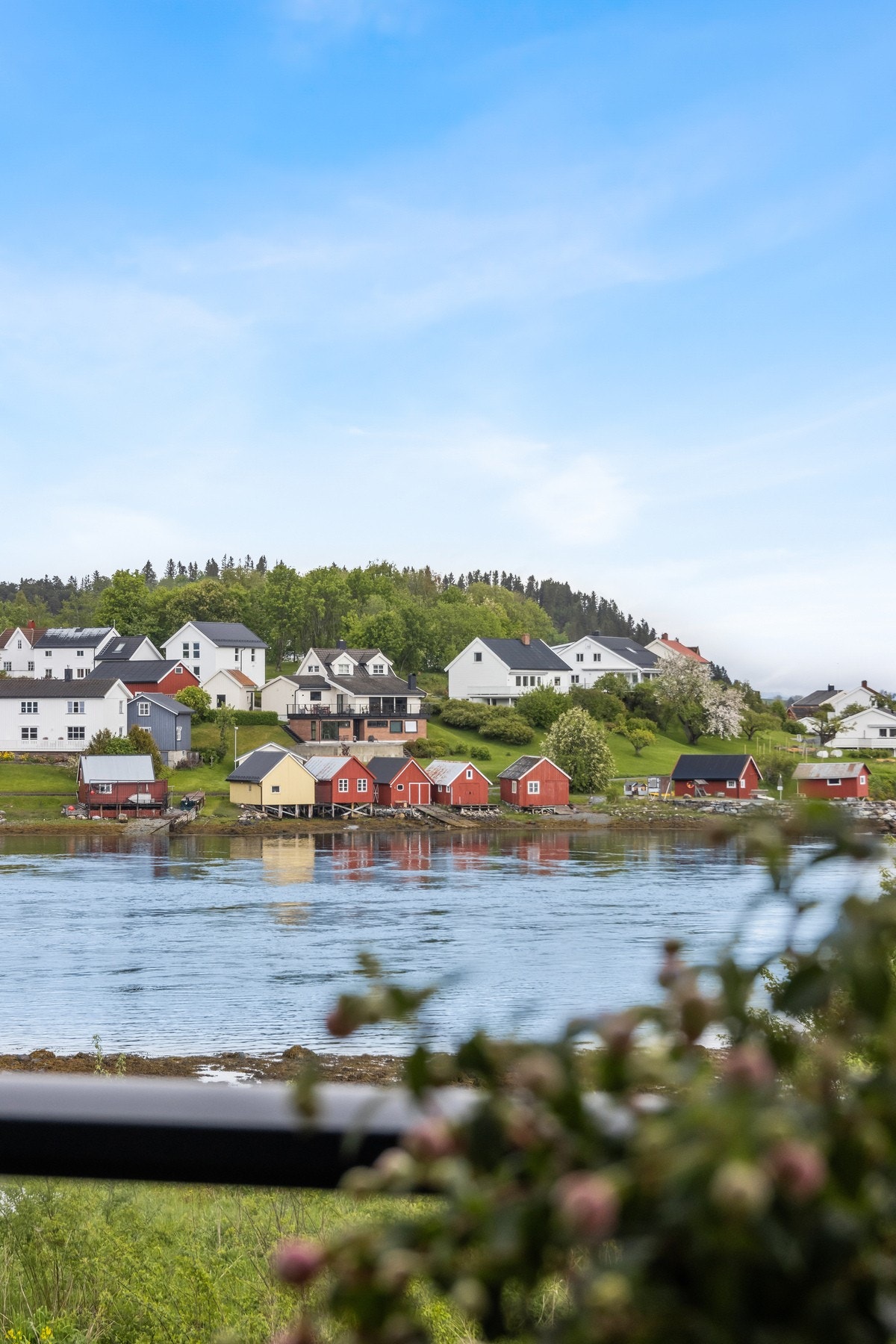 Utsikt fra veranda. Galleribilde