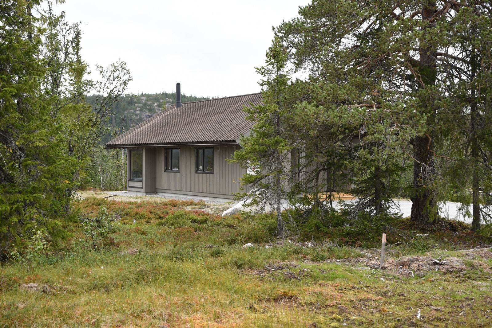 Liknende Hedvig hytte
Illustrasjonsbilde Galleribilde