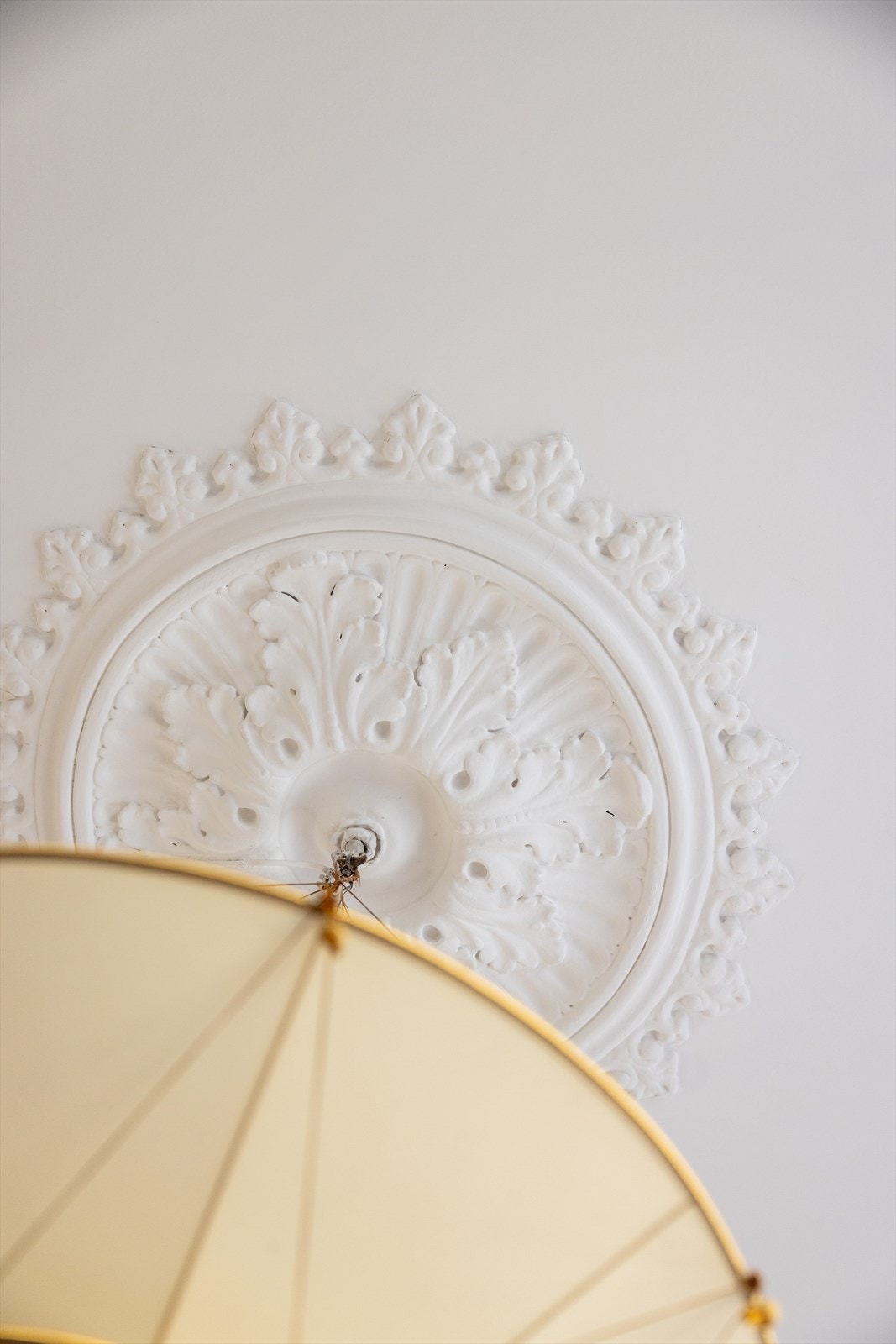 Nydelige klassiske detaljer Galleribilde