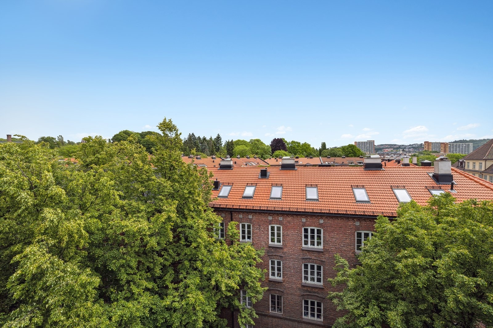 Her har du flott utsikt mot Botanisk hage og Ekeberg Galleribilde