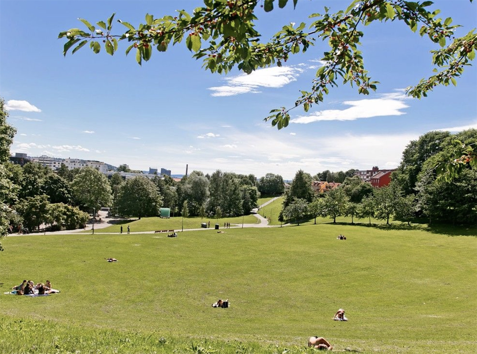 Bjølsenparken Galleribilde