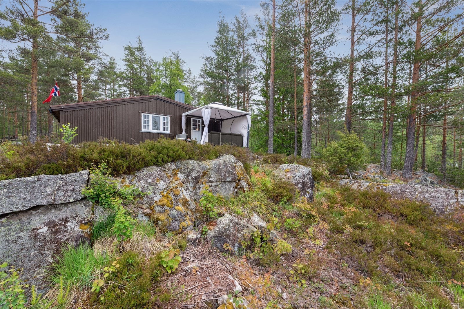 Selveiertomt på ca. 548 m². Hytta er omgitt av naturlig vegetasjon. Galleribilde