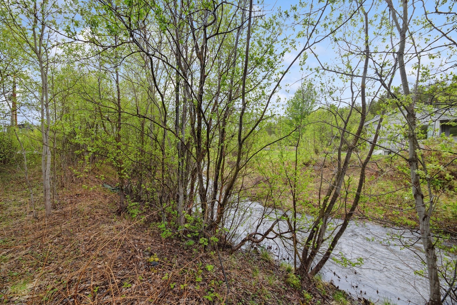 I nærheten finner du også Lillevannet og Langvannet, som er populære destinasjoner for bading og isfiske. Galleribilde