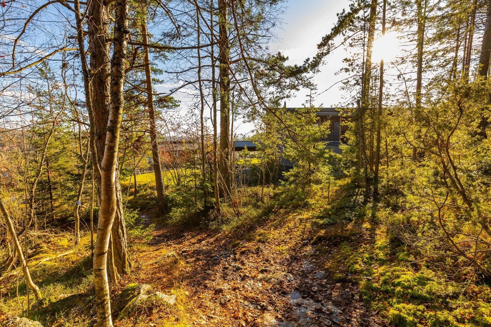Området har umiddelbar nærhet til flotte friluftsområder i Funkelia. Galleribilde