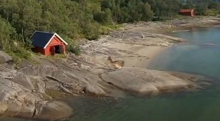 Naustet Galleribilde