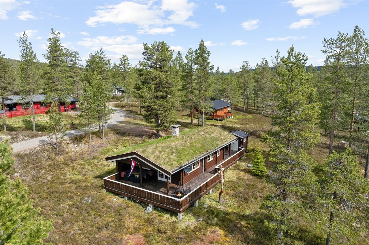 Velkommen til Fjellverden Øst 13 Galleribilde