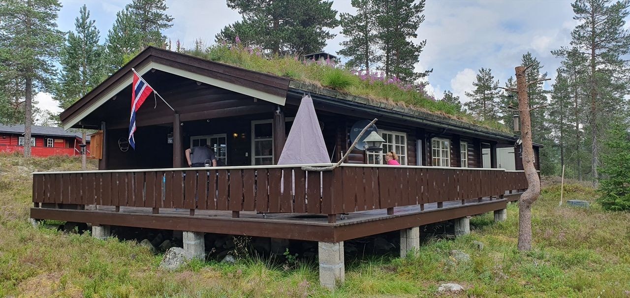 Foto: Selger Galleribilde