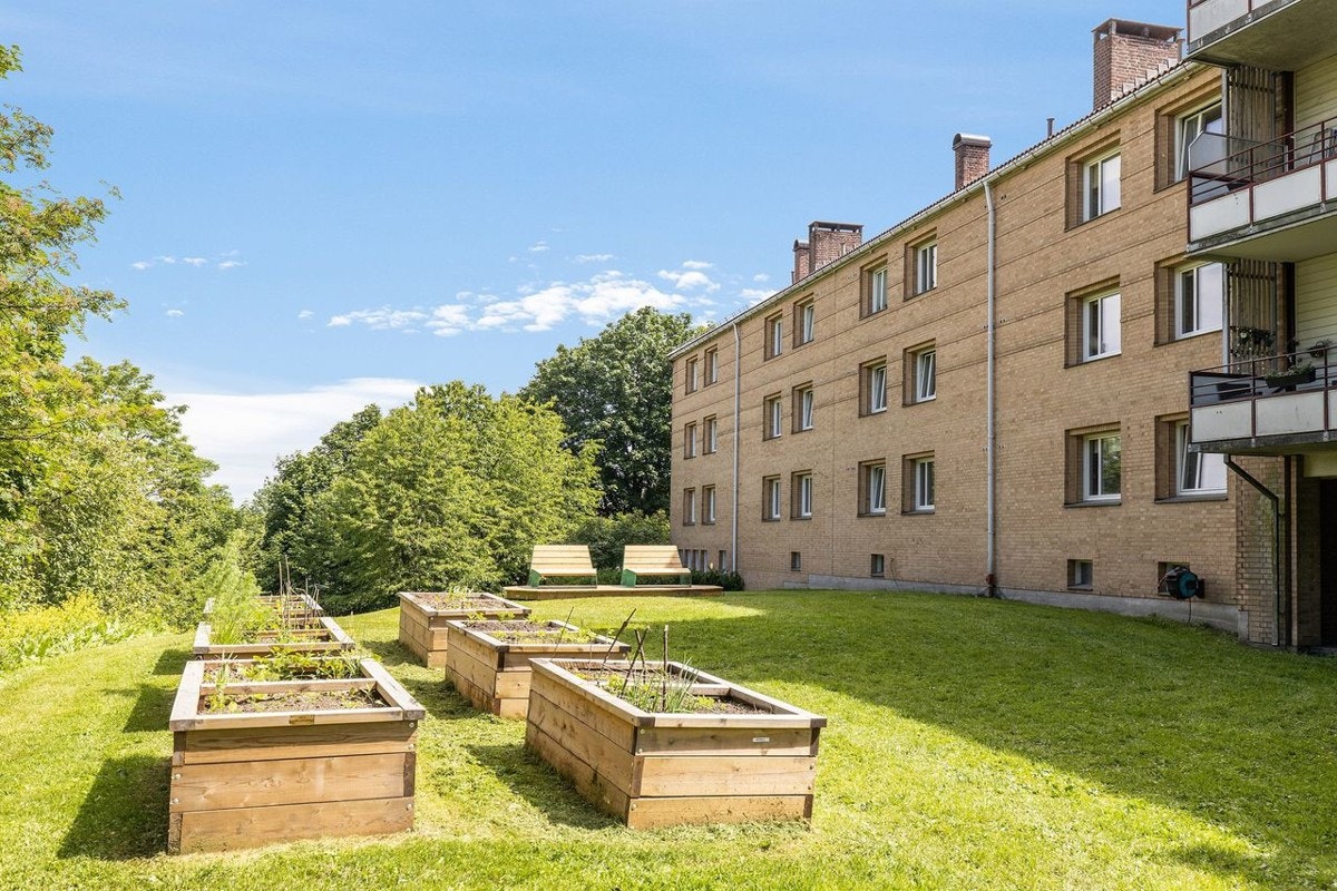 Plantekasser i borettslaget. Galleribilde