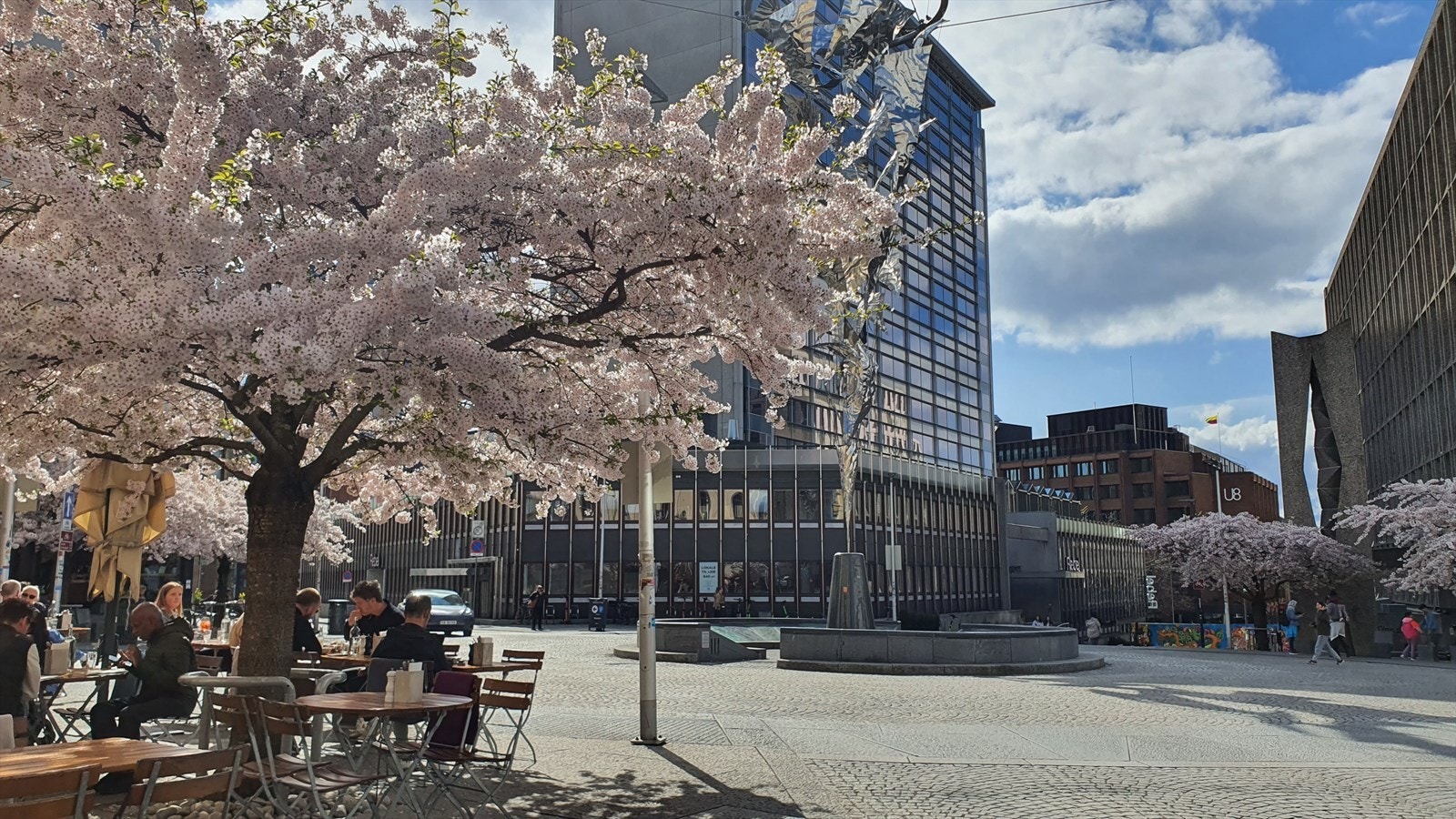 Privat bilde Galleribilde