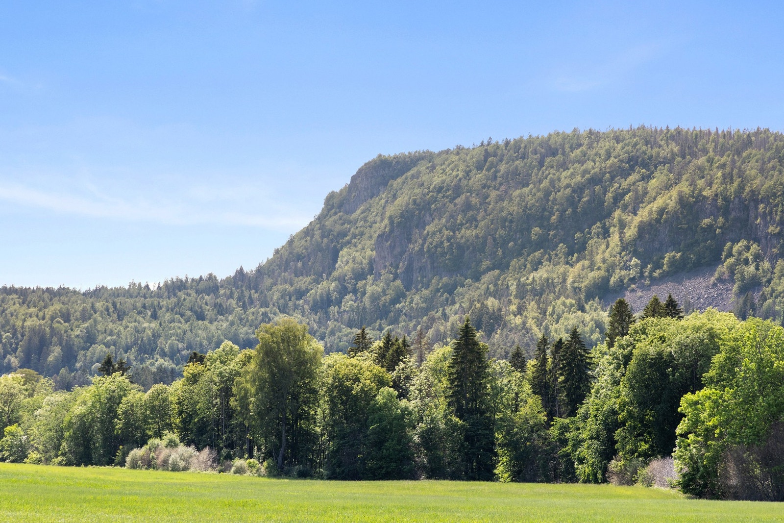 Fra terrassen har du fantastisk utsikt ut mot nærområdet. Galleribilde