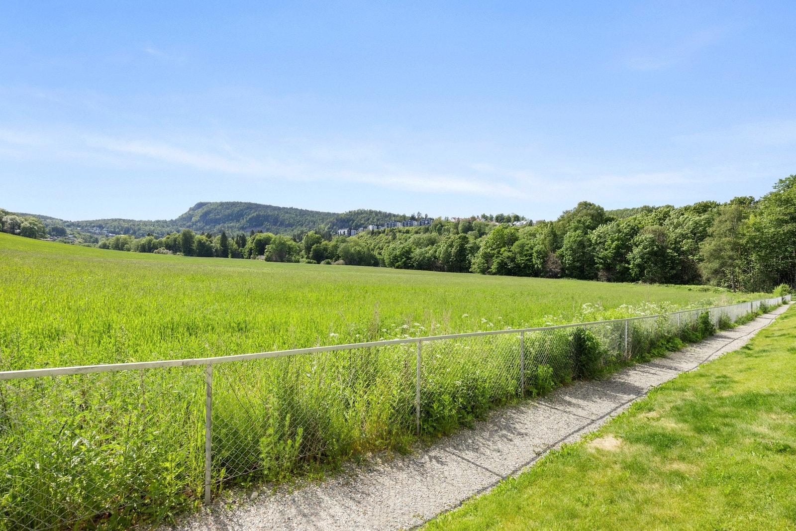 Beliggenheten gir deg enkel tilgang til marka og skiløyper på vinterstid. Galleribilde