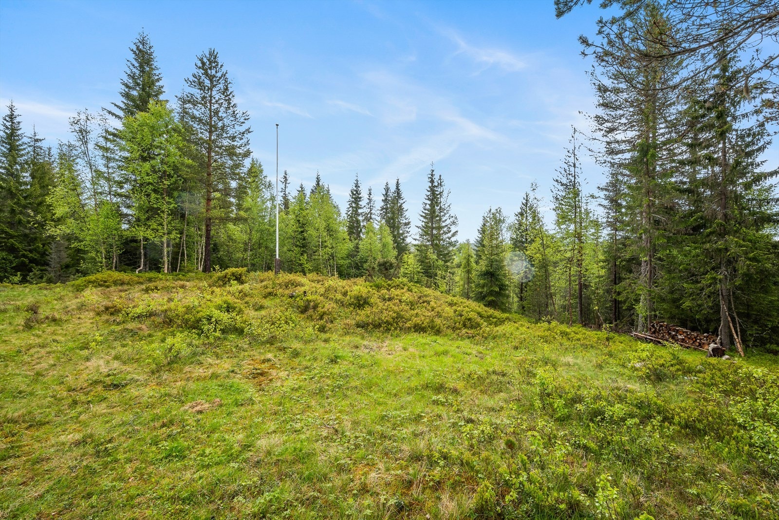 Naturskjønne og rolige omgivelser Galleribilde