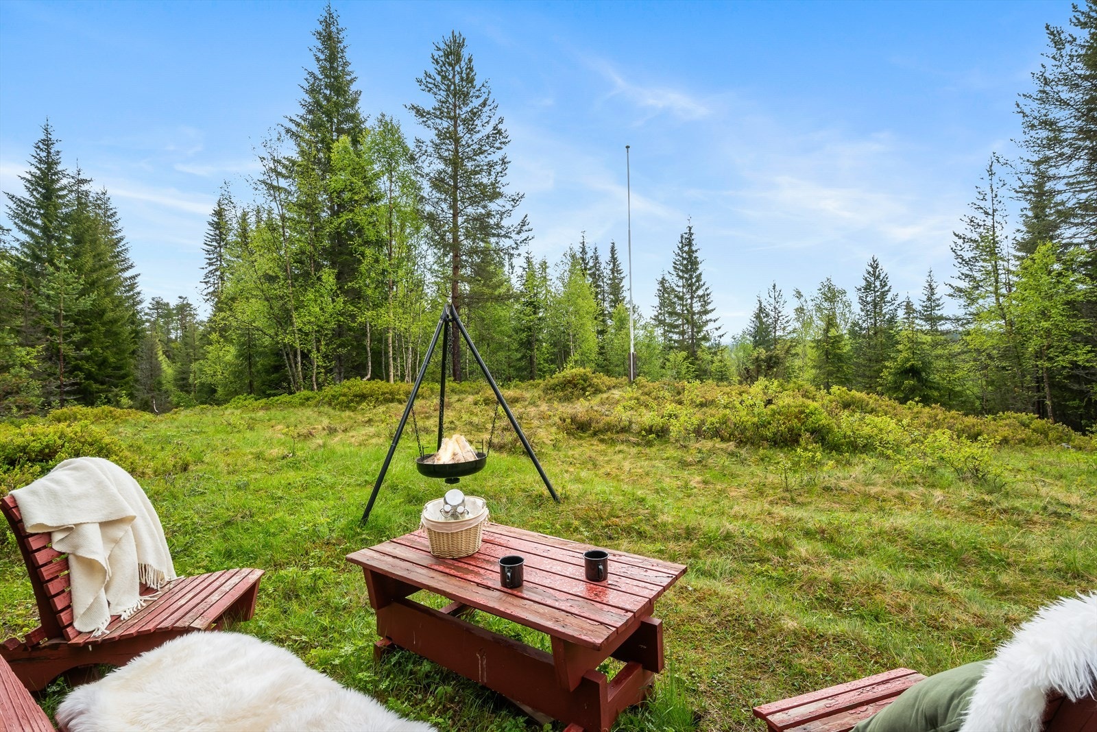 God frihetsfølelse Galleribilde