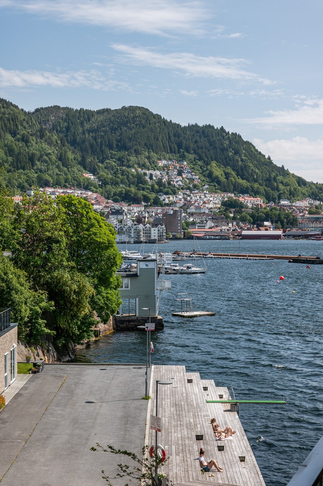 Nærområde Galleribilde