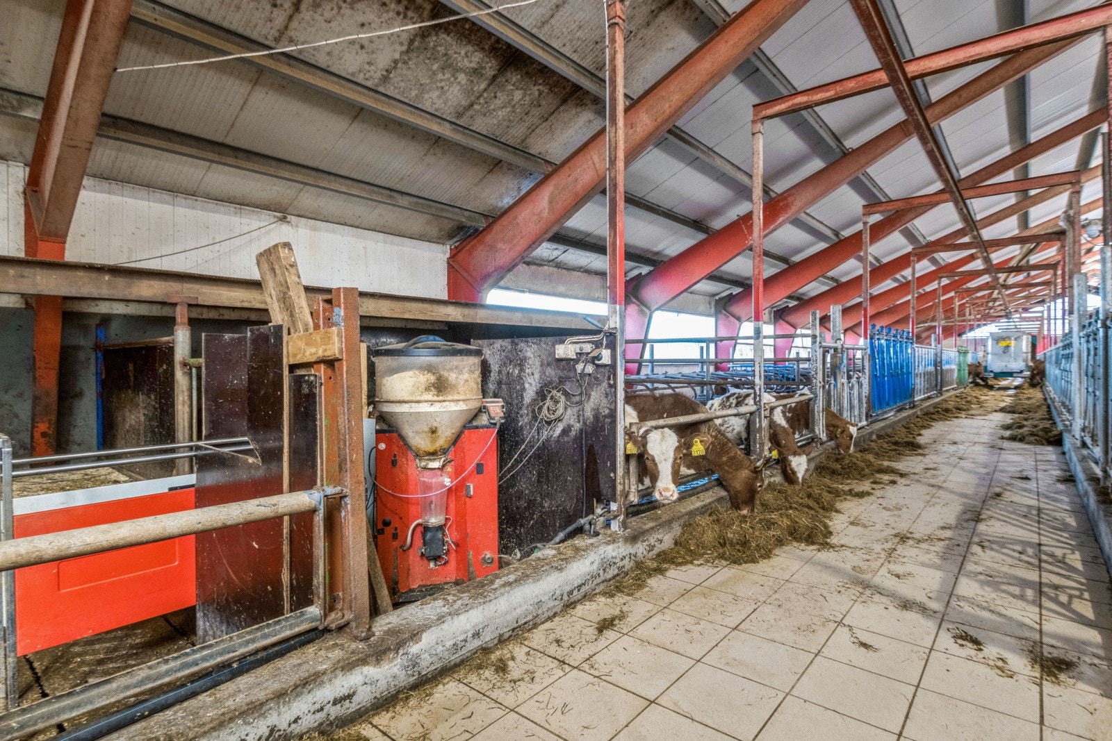 Kalvdrikkeautomat Galleribilde