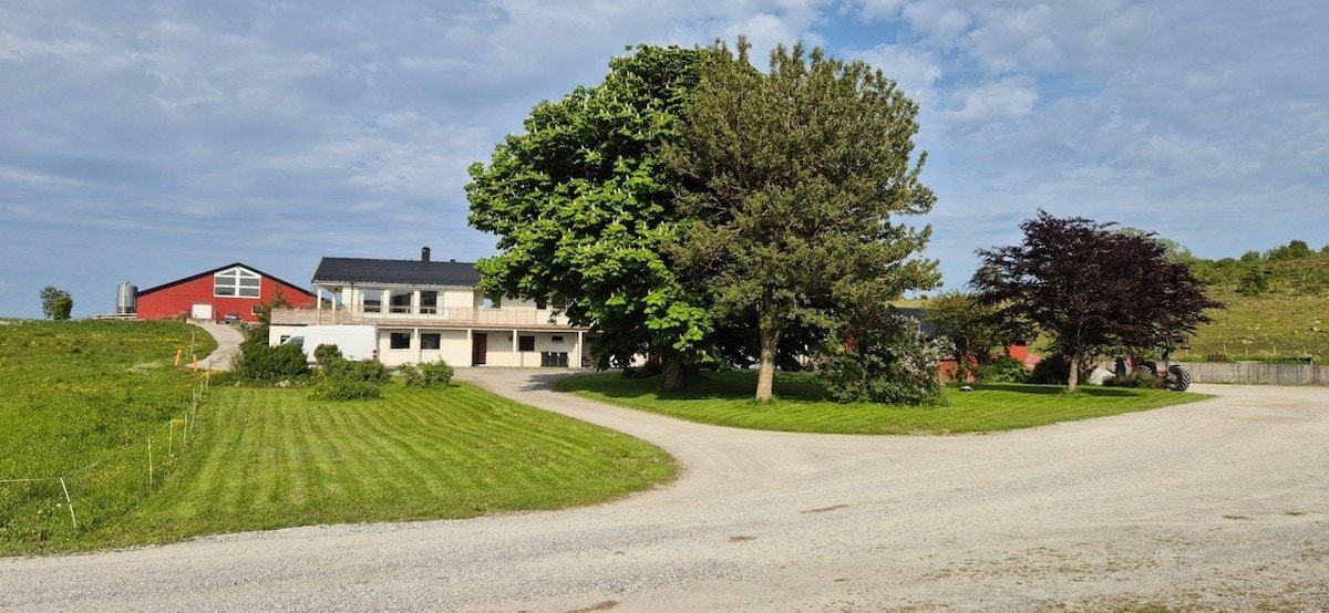 Velkommen til Vigestad gård i Nærøysund! Galleribilde