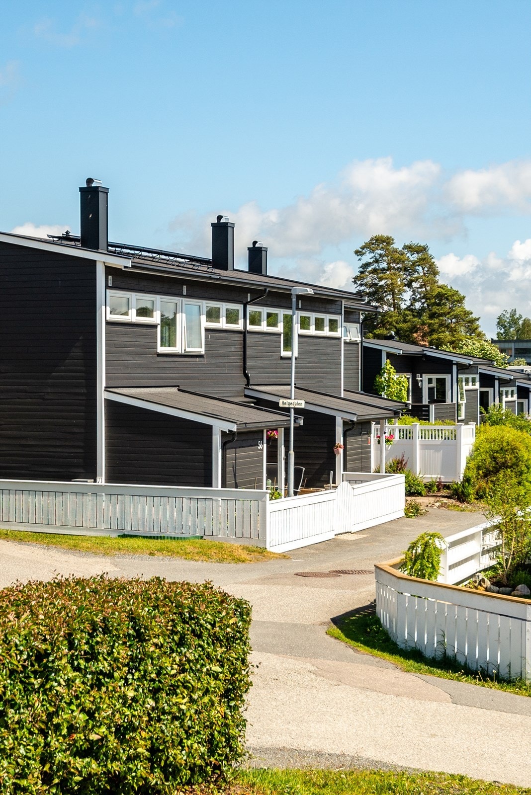 DSC_7393-2.jpg Galleribilde