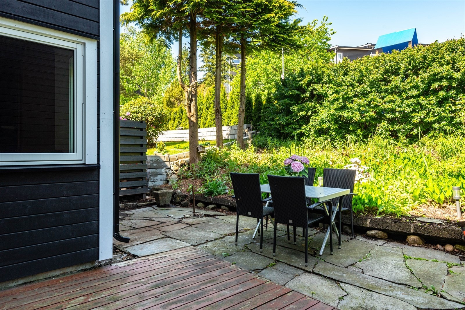 DSC_7370.jpg Galleribilde